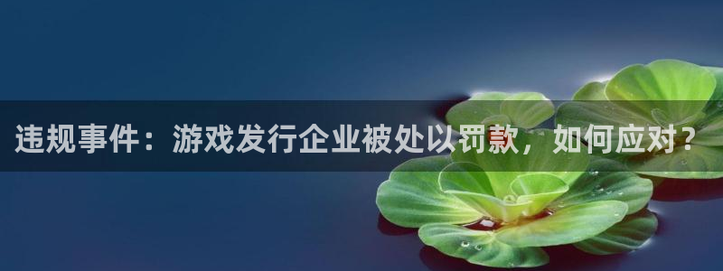 江苏bbin视讯人力资源有限公司怎么样：违规事件：游戏发行企业被处以罚款，如何应对？