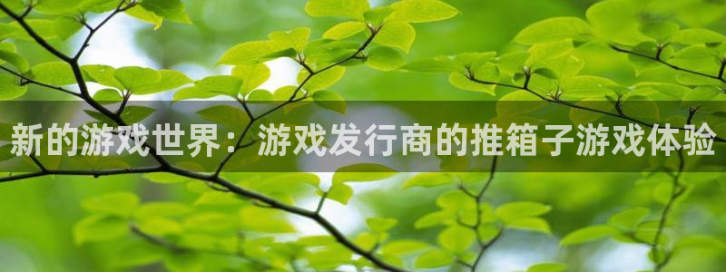 陕西bbin视讯子文化公司有什么游戏：新的游戏世界：游戏发行商的推箱子游戏体验