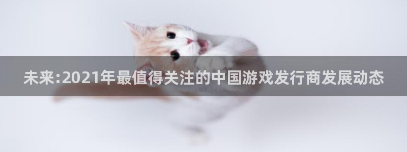 bbin视讯官网客服电话：未来:2021年最值得关注的中国游戏发行商发展动态
