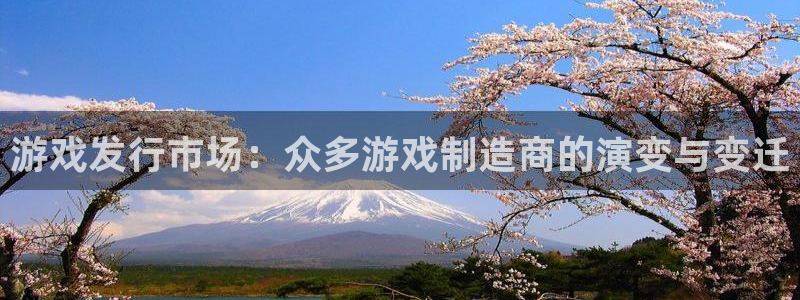 bbin视讯子经理人：游戏发行市场：众多游戏制造商的演变与变迁