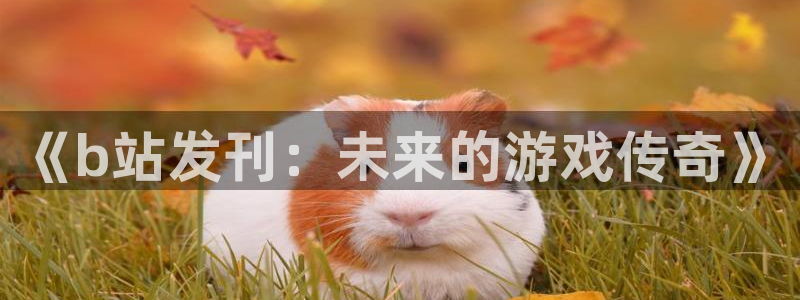 bbin视讯子文化创意有限公司特邀玩家：《b站发刊：未来的游戏传奇》