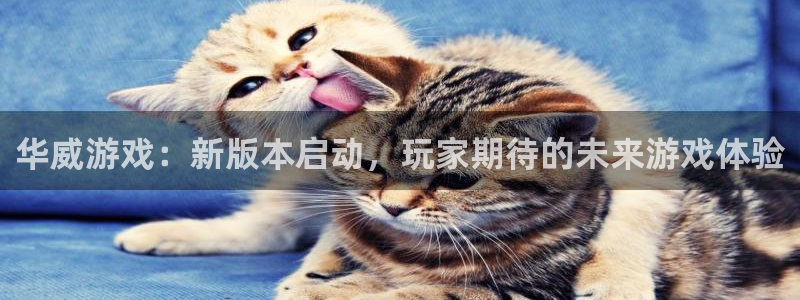 bbin视讯运动装有哪些品牌：华威游戏：新版本启动，玩家期待的未来游戏体验