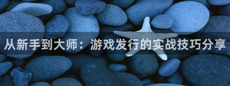 bbin视讯官网注册平台怎么注册：从新手到大师：游戏发行的实战技巧分享