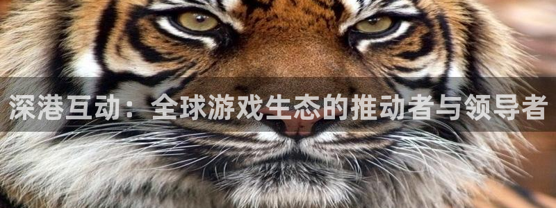 江苏bbin视讯智得新材料：深港互动：全球游戏生态的推动者与领导者
