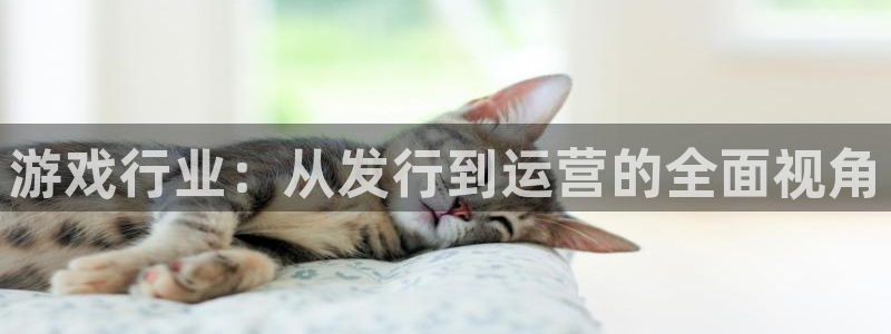 bbin视讯品牌服装：游戏行业：从发行到运营的全面视角