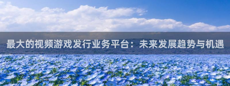 法国bbin视讯官网：最大的视频游戏发行业务平台：未来发展趋势与机遇