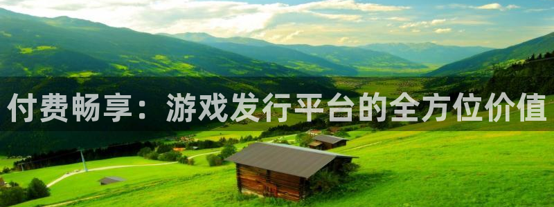 陕西bbin视讯子文化创意有限公司是做什么的：付费畅享：游戏发行平台的全方位价值