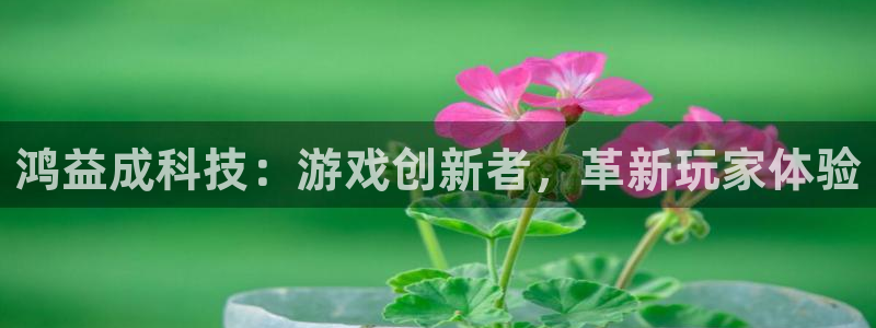 bbin视讯商标：鸿益成科技：游戏创新者，革新玩家体验