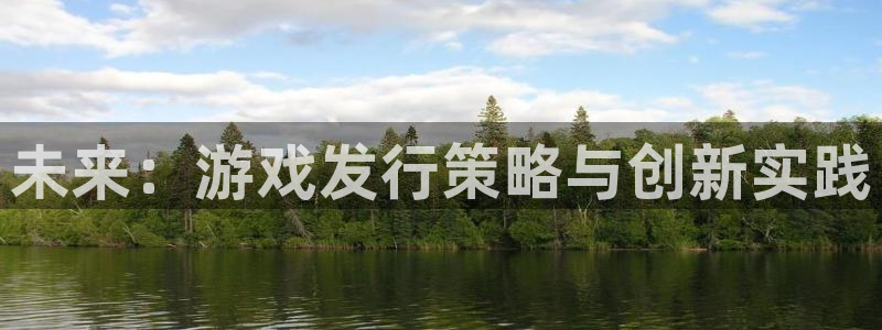 bbin视讯官网主营业务：未来：游戏发行策略与创新实践