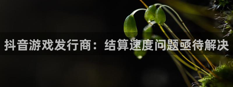 bbin视讯官网代理注册不了：抖音游戏发行商：结算速度问题亟待解决