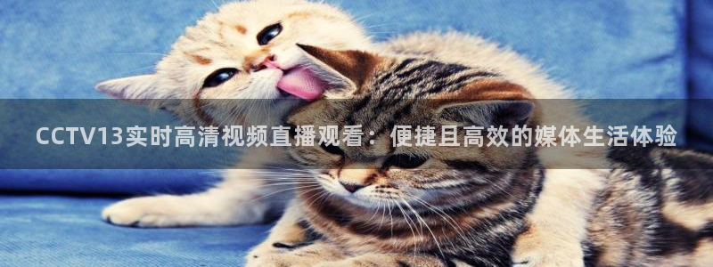 nba蜘蛛直播：CCTV13实时高清视频直播观看：便捷且高效的媒体生活体验