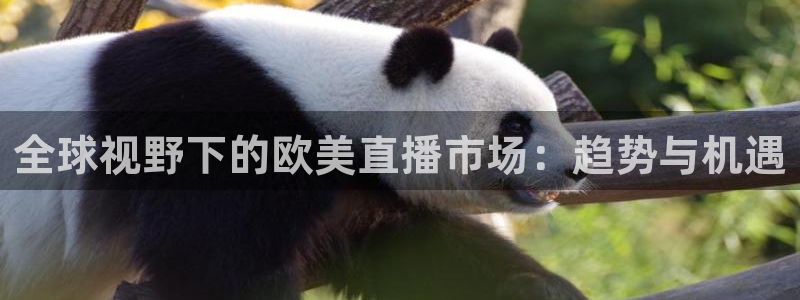 蜘蛛nba免费直播在线直播：全球视野下的欧美直播市场：趋势与机遇