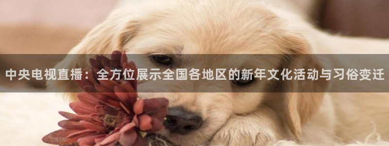 nba在线直播蜘蛛直播：中央电视直播：全方位展示全国各地区的新年文化活动与习俗变迁
