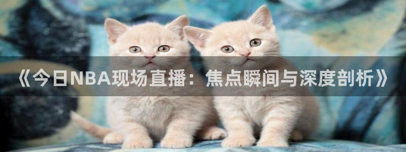 蜘蛛nba直播：《今日NBA现场直播：焦点瞬间与深度剖析》