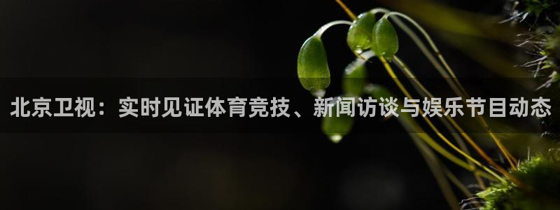 蜘蛛体育免费：北京卫视：实时见证体育竞技、新闻访谈与娱乐节目动态