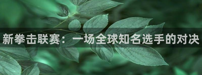 蜘蛛直播nba免费观看篮球：新拳击联赛：一场全球知名选手的对决